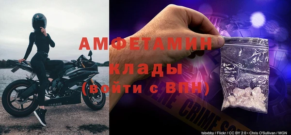 ПСИЛОЦИБИНОВЫЕ ГРИБЫ Россошь