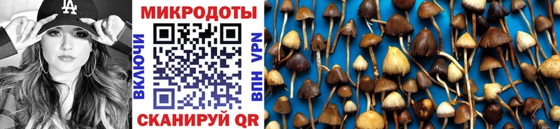 гидра ссылки  Котельниково  Галлюциногенные грибы Cubensis 